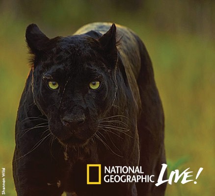 National Geographic Live: Pursuit of The Black Panther