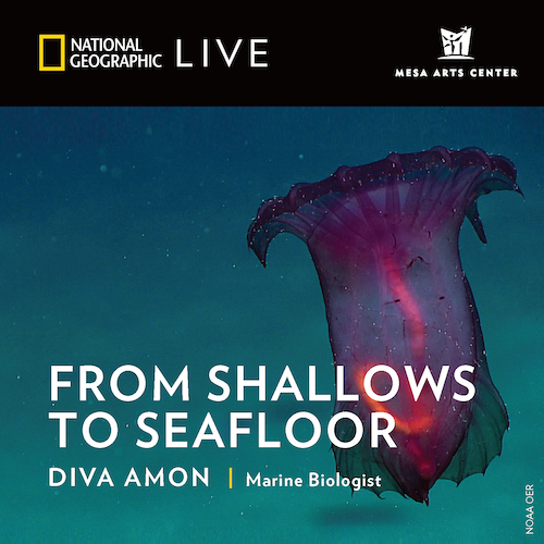 National Geographic Live: From Shallows to Seafloor